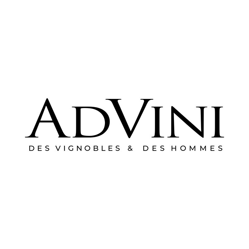 Advini_Table_4.jpg