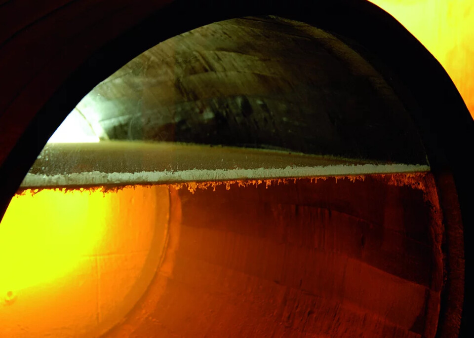 1632779608779-vinos_jerez_sherry_wines_velo_de_flor.webp