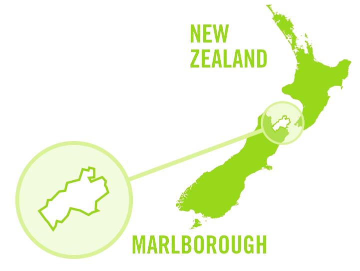 Marlborough, NZ Wine Map