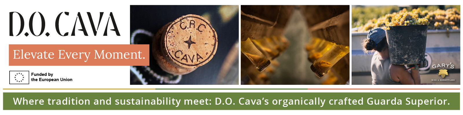 DO_Cava-WebsiteAssets_Desktop-Promo_Banner_1600x400.png