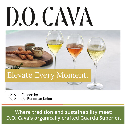 DO_Cava-WebsiteAssets_Mobile_Banner_500x500_.png