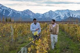 inmemorialvineyards.jpg