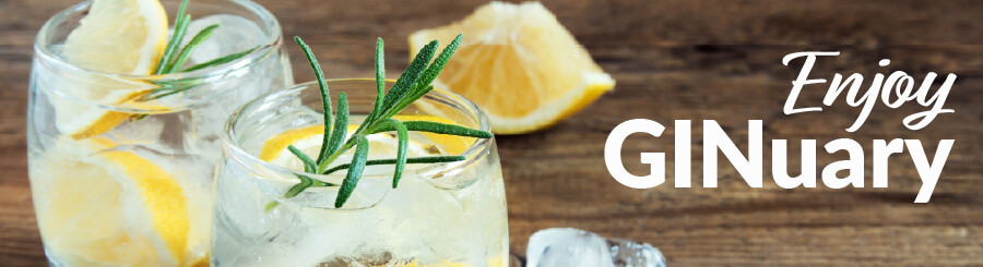 GINuary_Web_Blog_TopHeader_900x245.jpg