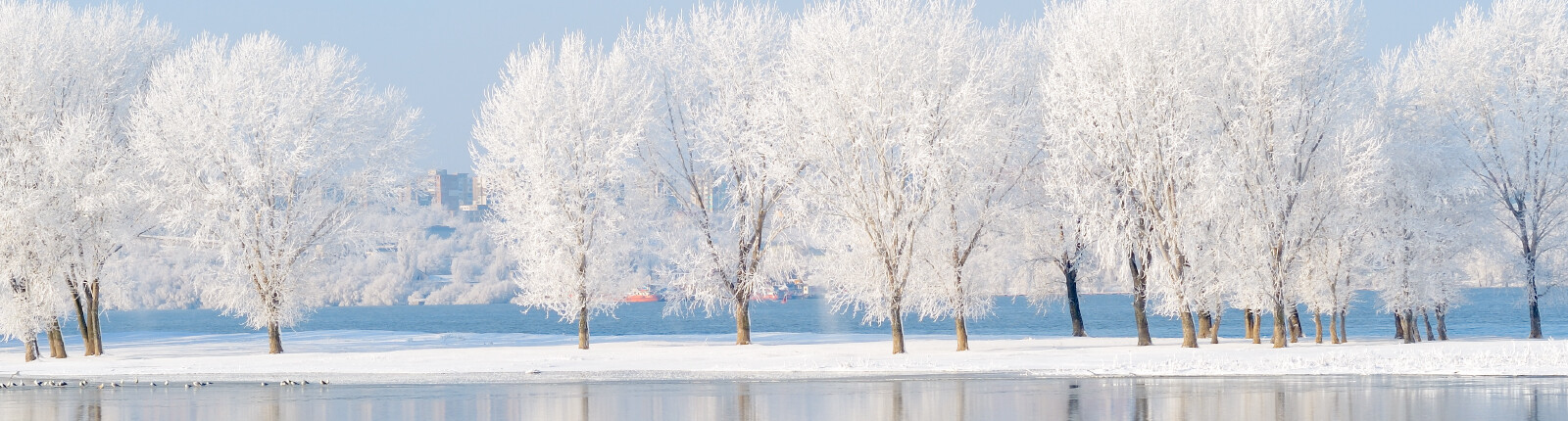 January_Web_Slide_1600x430.jpg