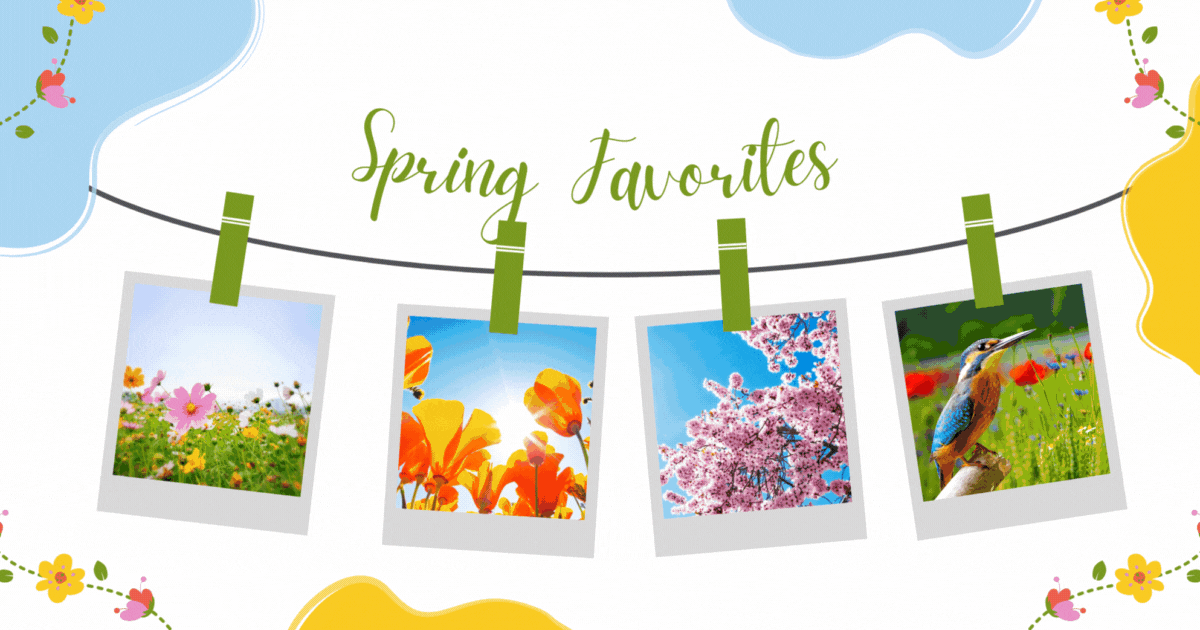 Spring Favorites