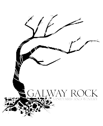 Tasting - Galway Rock Winery