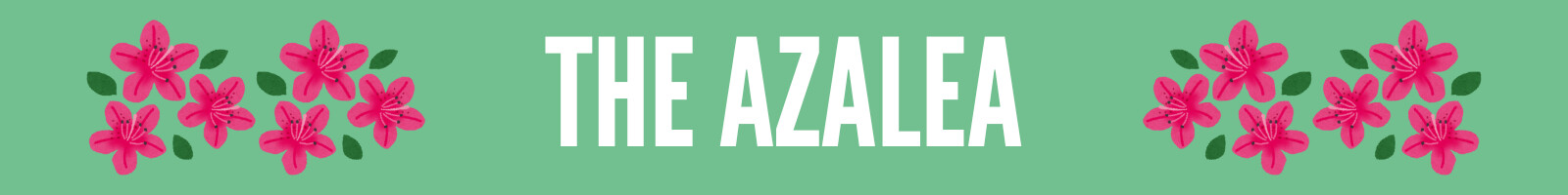 Web_Mini_Banners_(3).png