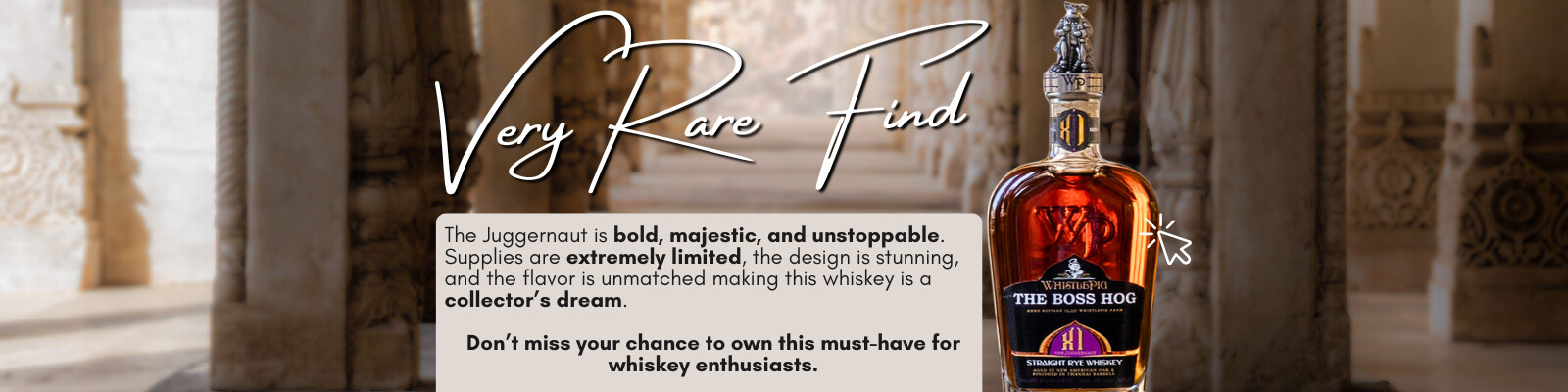 Website_Banner_(6).png