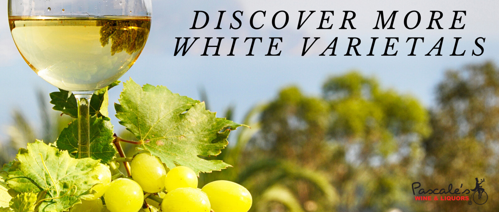 White_Varietals_FVille.png