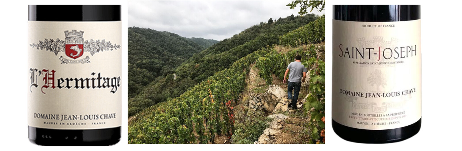 Domaine Jean-Louis Chave - Morrell Fine Wine & Spirits