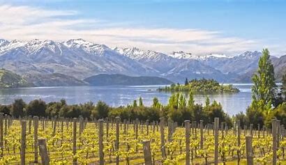 New Zealand Wines - Sunrise Cellars Fine Wines & Spirits Caldwell