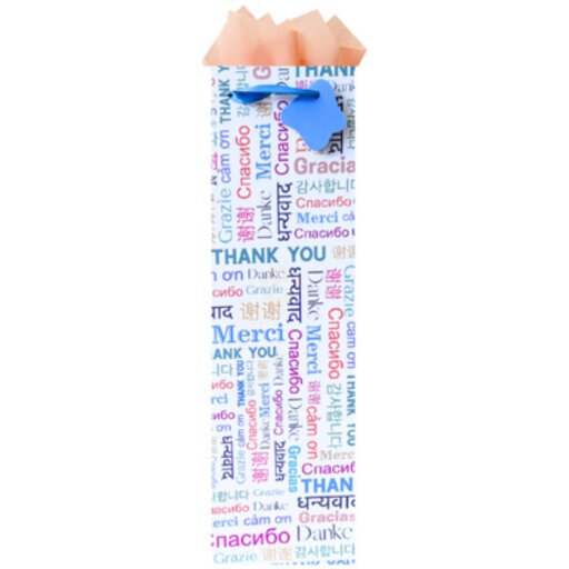 Gift Bag Thank You Around the World