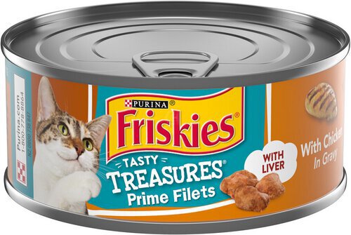 Purina Friskies Gravy Wet Cat Food, Tasty Treasures With Chicken & Liver