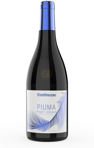 Sambucese Pinot Grigio